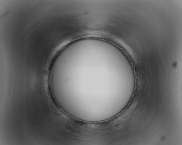 X0000103441411200809121050