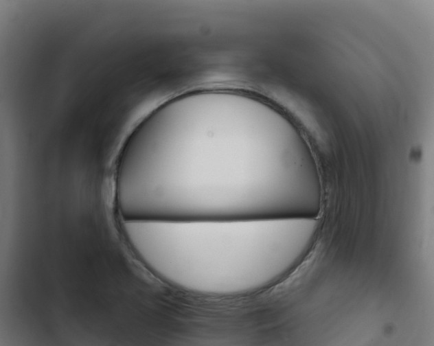 X0000103441413200809121050