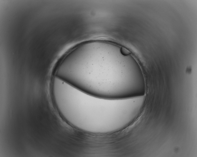 X0000103441414200809121050