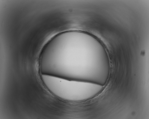 X0000103441415200809121050