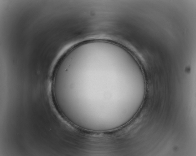 X0000103441416200809121050
