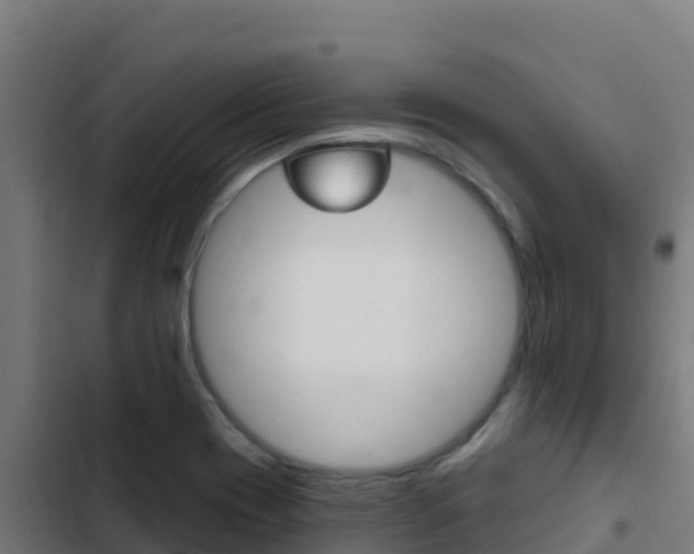 X0000103441417200809121050
