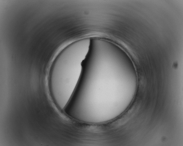 X0000103441418200809121050