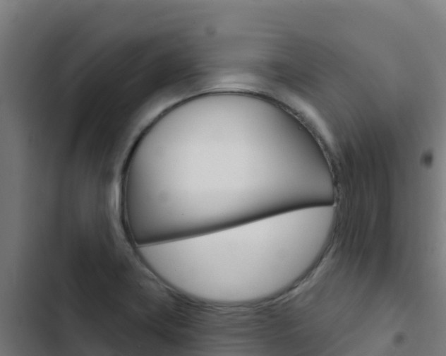 X0000103441419200809121050