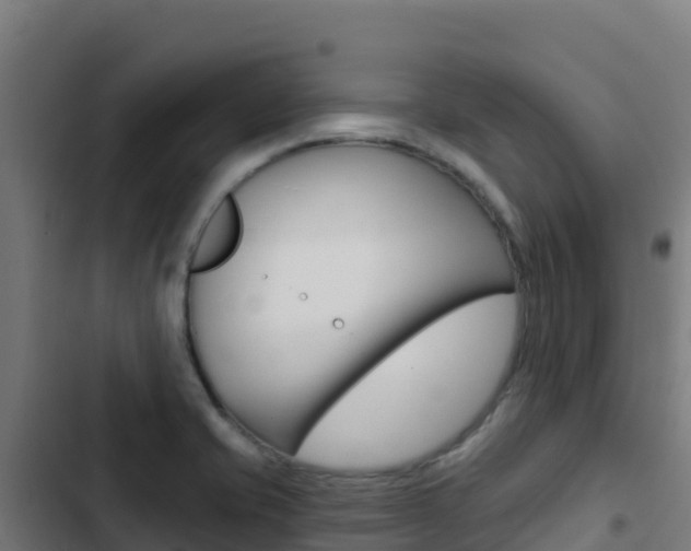 X0000103441421200809121050