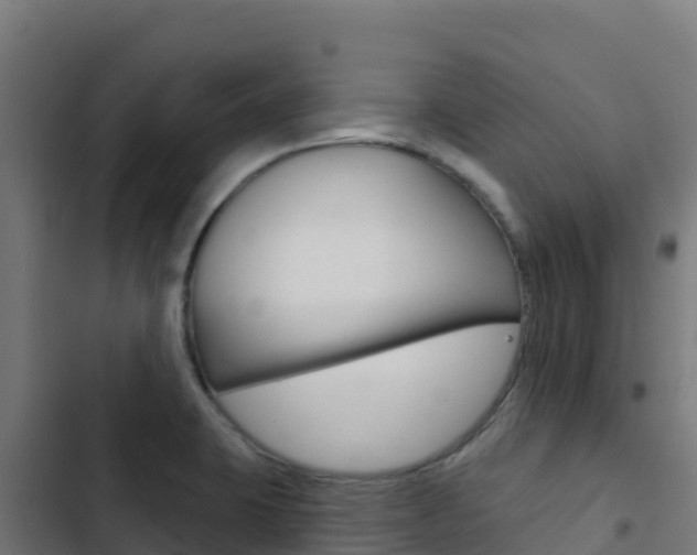 X0000103441423200809121050