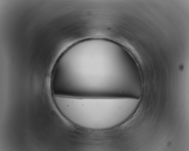 X0000103441424200809121050