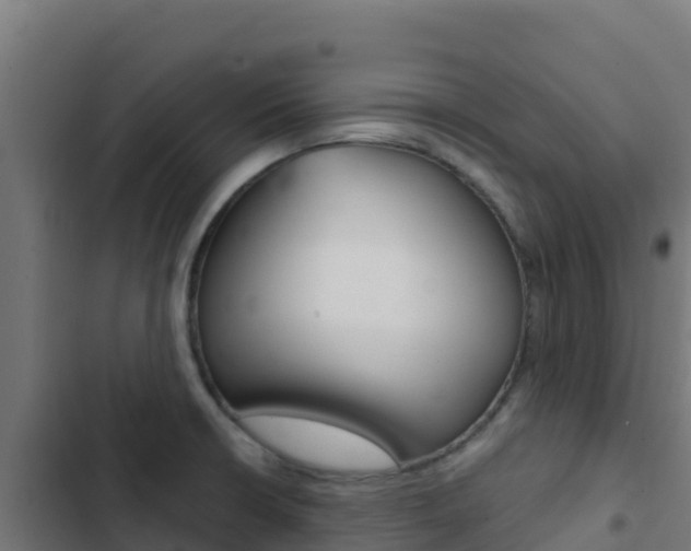X0000103441426200809121050