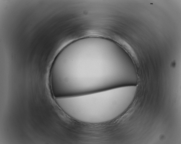 X0000103441427200809121050