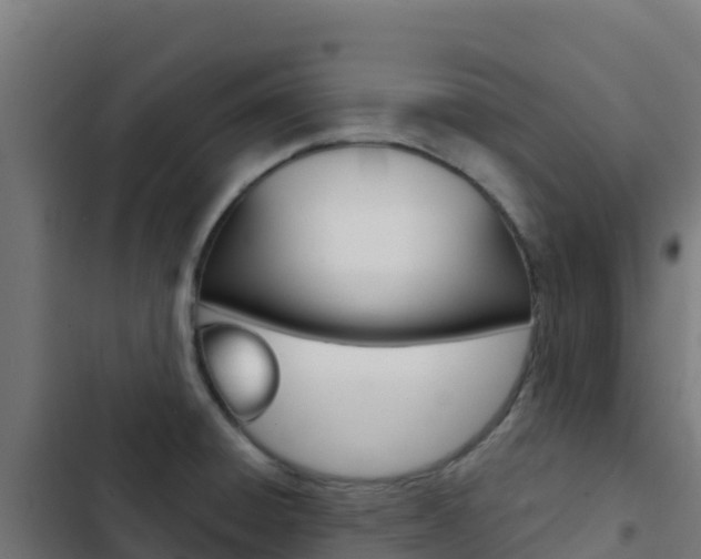 X0000103441428200809121050