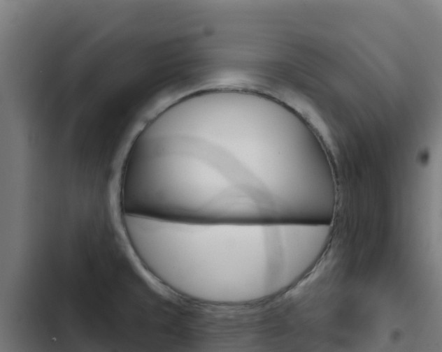 X0000103441429200809121050