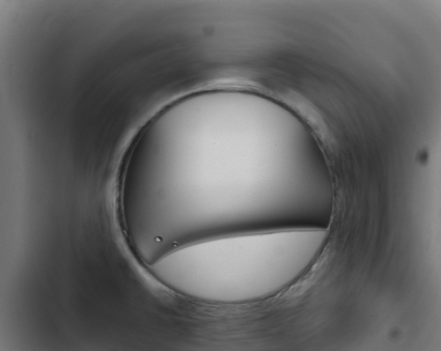X0000103441430200809121050