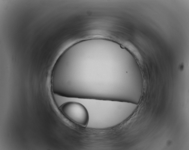 X0000103441431200809121050