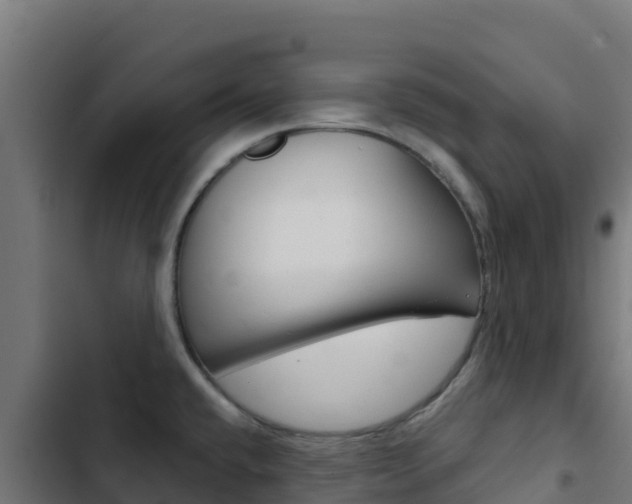 X0000103441432200809121050