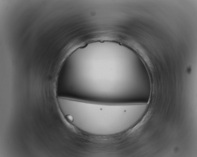 X0000103441433200809121050