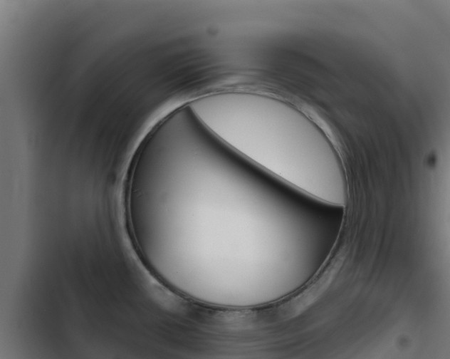 X0000103441434200809121050