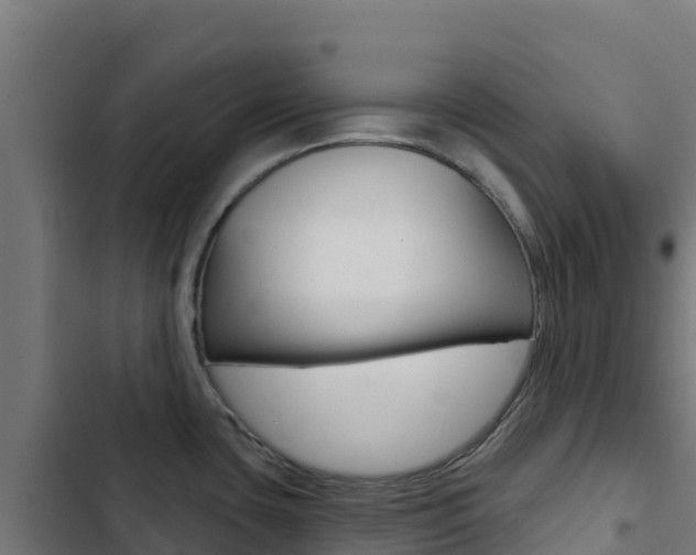 X0000103441435200809121050