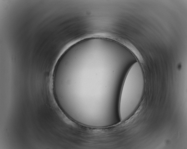 X0000103441436200809121050