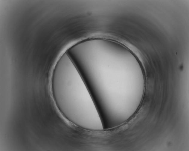 X0000103441437200809121050