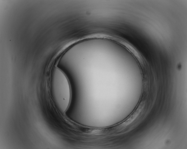 X0000103441438200809121050