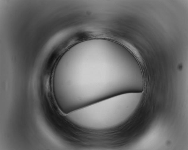 X0000103441439200809121050