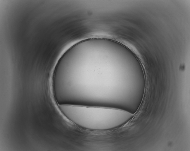 X0000103441440200809121050