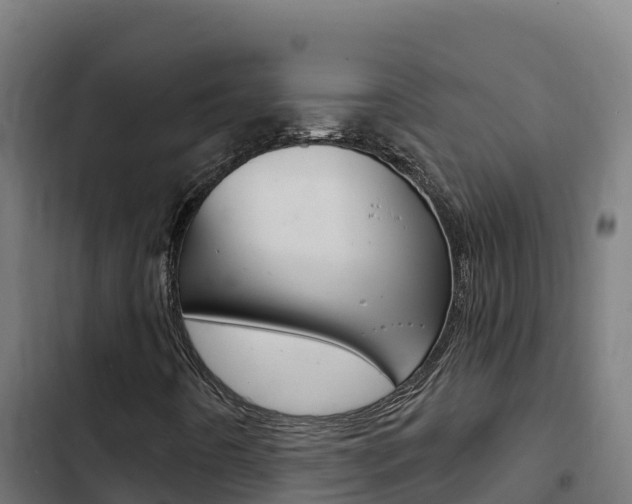 X0000103441442200809121050