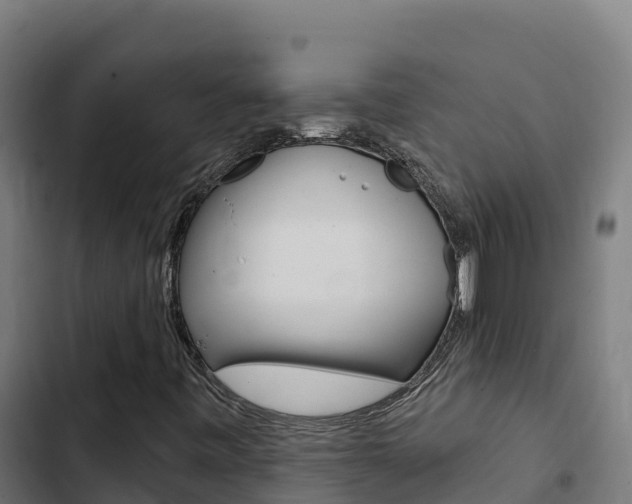 X0000103441443200809121050