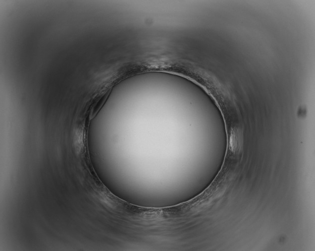 X0000103441444200809121050