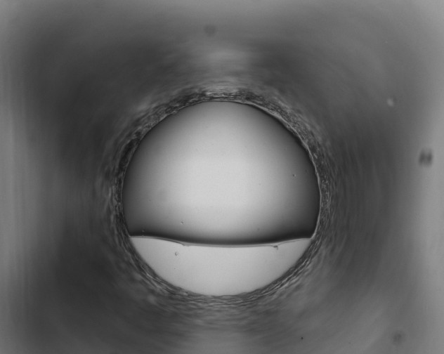 X0000103441445200809121050