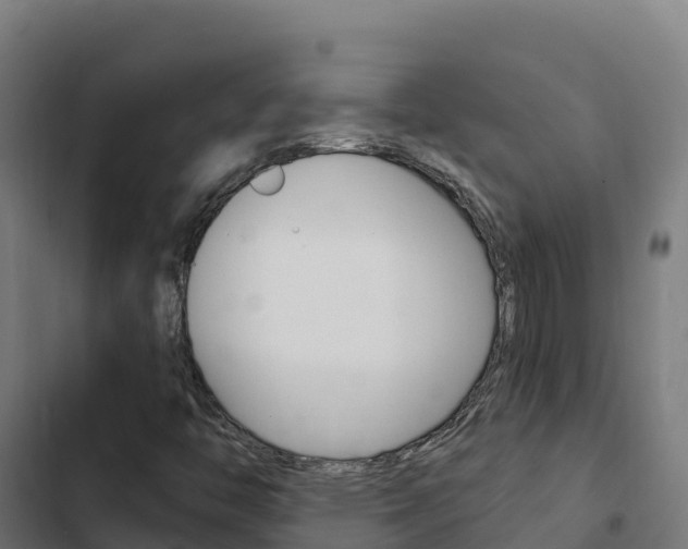 X0000103441446200809121050