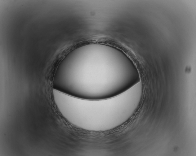 X0000103441447200809121050