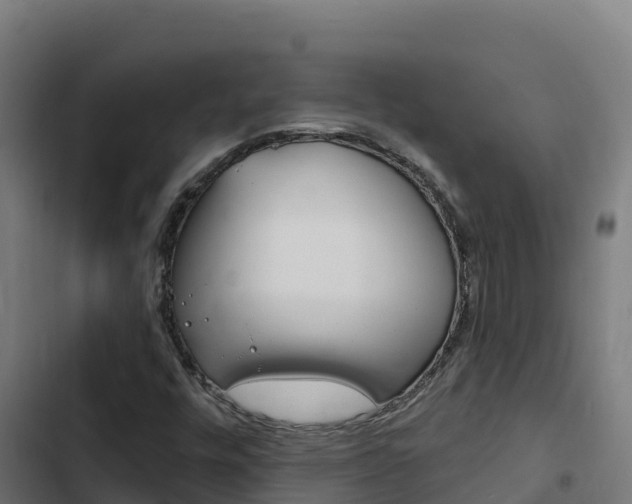 X0000103441448200809121050