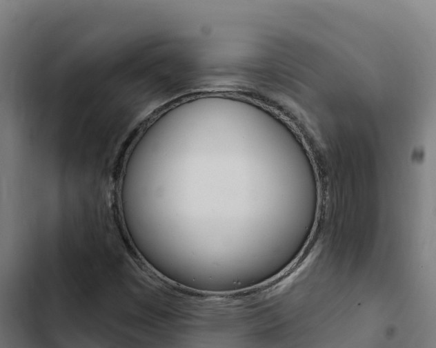 X0000103441449200809121050