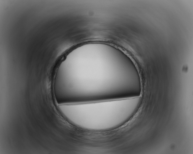 X0000103441450200809121050