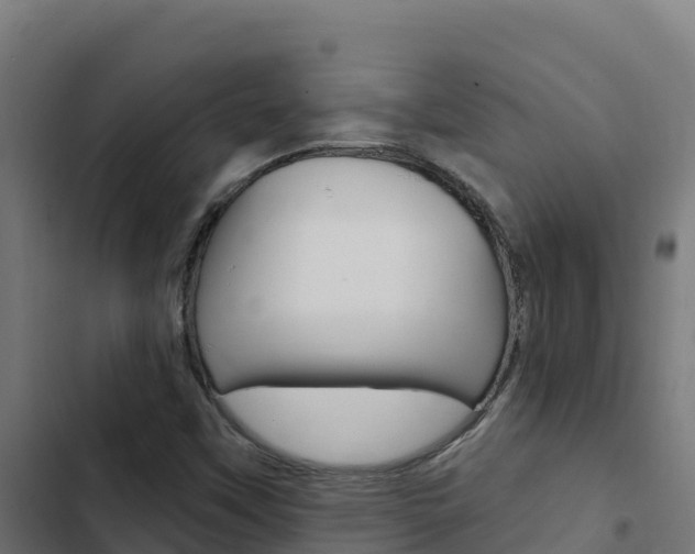 X0000103441451200809121050