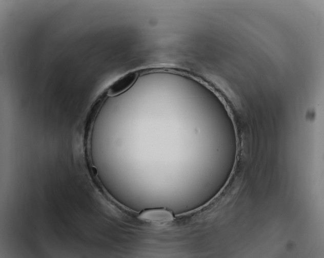 X0000103441452200809121050