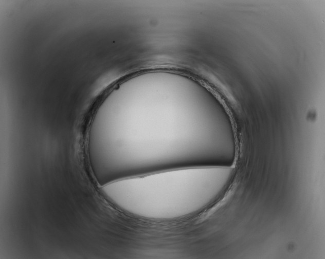 X0000103441453200809121050