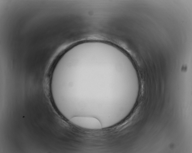 X0000103441454200809121050