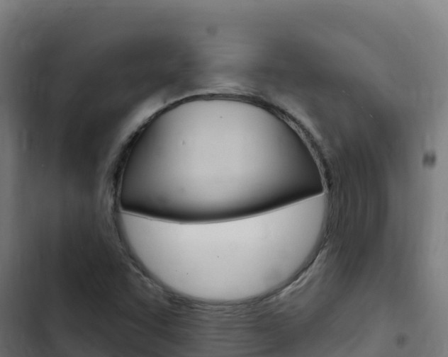 X0000103441455200809121050