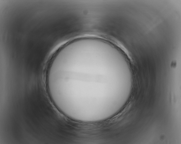 X0000103441456200809121050