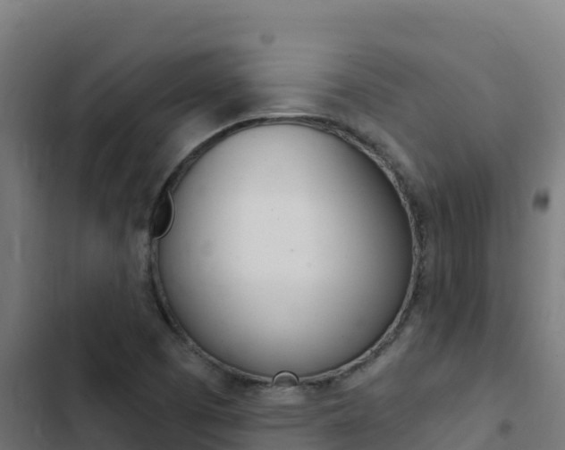 X0000103441457200809121049