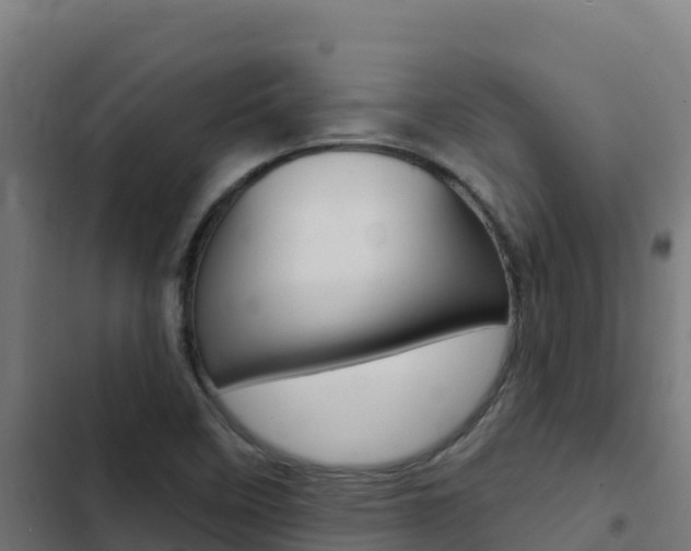 X0000103441458200809121049