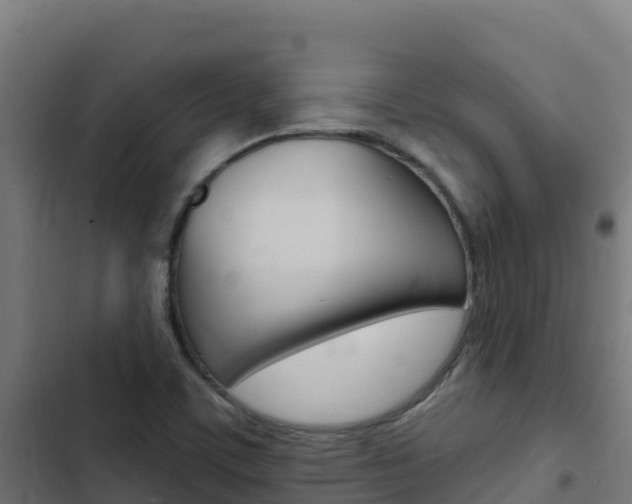 X0000103441459200809121049