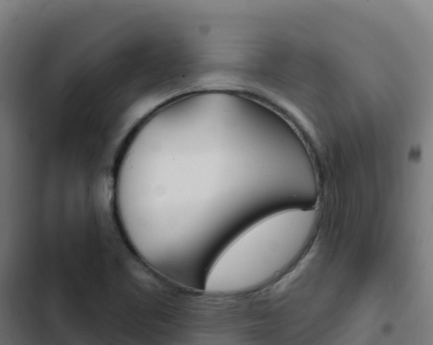 X0000103441461200809121049