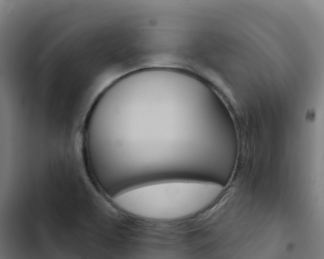 X0000103441463200809121049