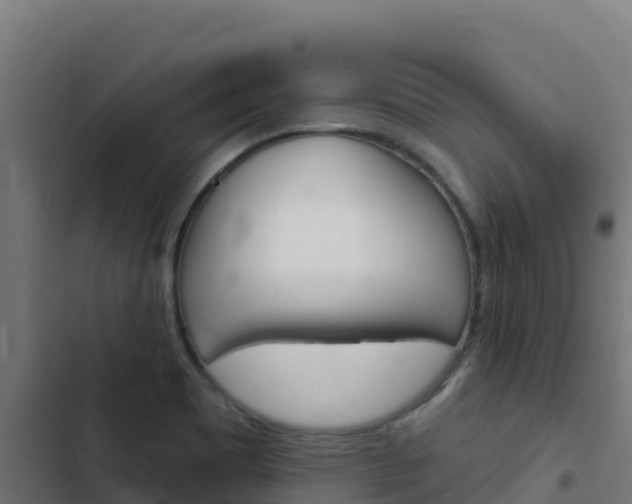 X0000103441465200809121049