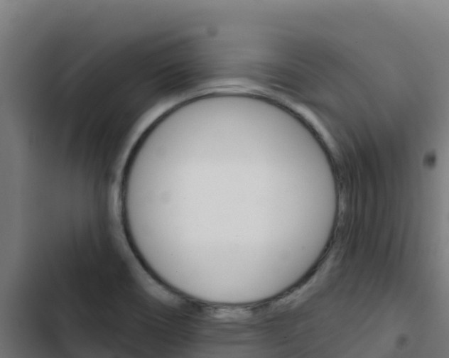 X0000103441466200809121049
