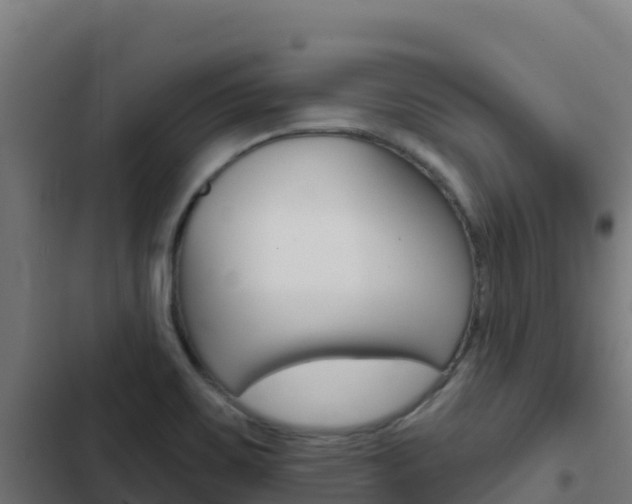 X0000103441467200809121049