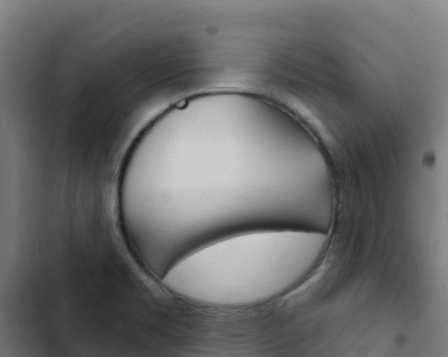 X0000103441469200809121049